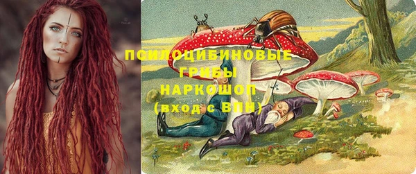 соль ск Богородицк