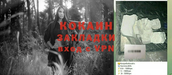соль ск Богородицк