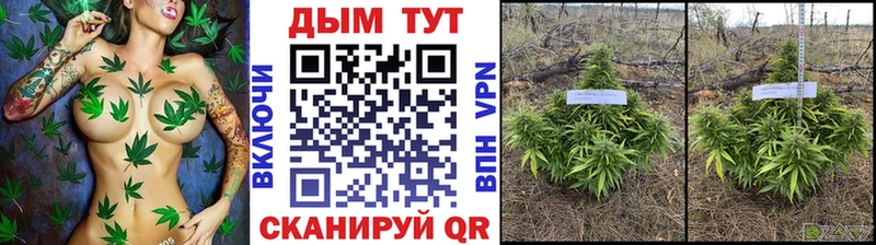 Шишки марихуана SATIVA & INDICA  наркота  Можга 
